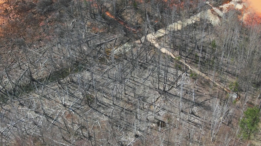 Deforestation. Logging. Environmental problem - destruction of rainforest. Aerial footage of deforestation, logging and palm oil plantations | Shutterstock HD Video #1053369242