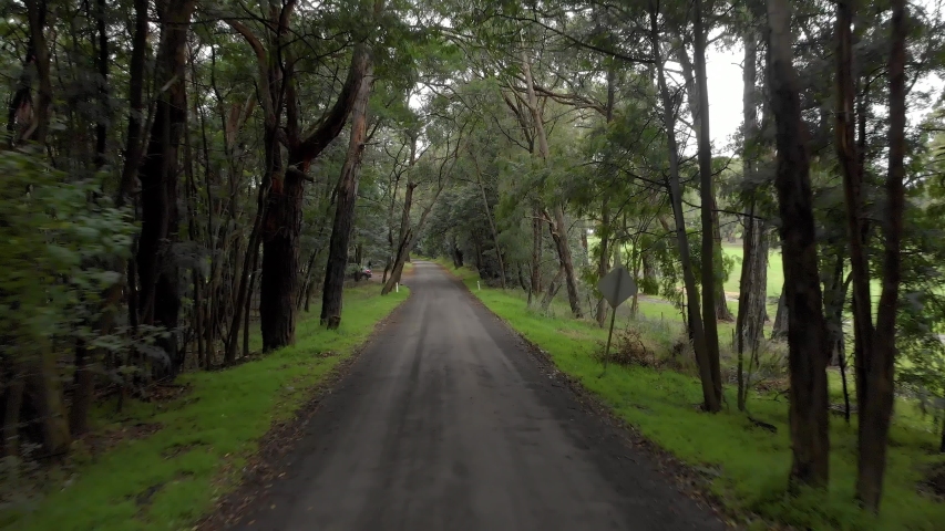 Aerial shot moving forward down a spooky dirt road in the forests of Australia.