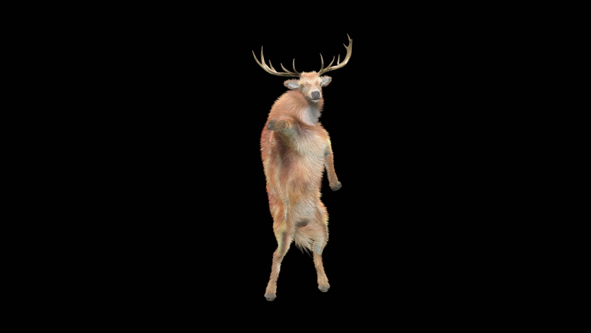 Deer dance