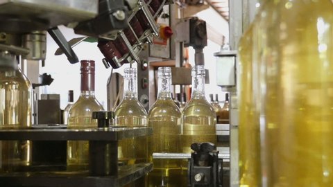 White wine bottling production line in a traditional german winery. Clear glass bottles are filled with wine on a conveyor belt and then sealed with capsules before being labelled. About 24 seconds.