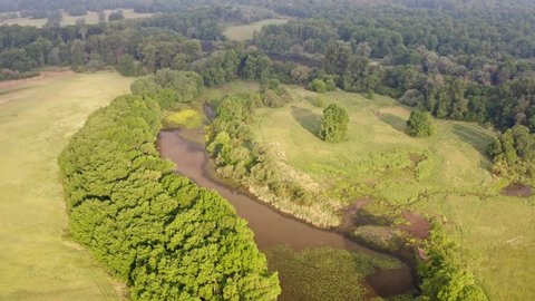 Drone footage of riparian forest with river in summer at sunrise. Aerial view of floodplain nature with trees, water and grass. Green nature scenery.