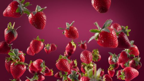 Flying of Strawberry in Deep Fuchsia Background