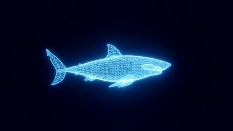 Animation of a shark in the form of glowing neon stripes from a three-dimensional grid. Rotate, pan, and zoom the object in space. 3d rendering.