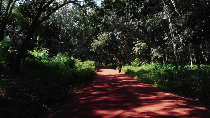 Woman walking in a forest in Ivory Coast Royalty-Free Stock Footage #1053415013