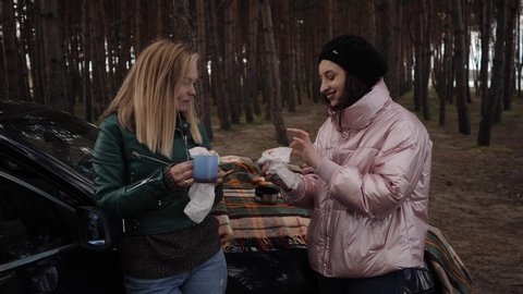 Two girlfriends on picnic in the woods at the car. Talking and laughing. Video Stok