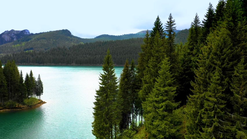 Turquoise water in a mountain forest lake with pine trees. Aerial view of blue lake and green forests. View on the lake between mountain forest. Over crystal clear mountain lake water. Fresh water 