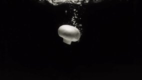 mushroom falls into water in slow motion. on a black background - Powered by Shutterstock - Get 15% off with code: PIKWIZARD15