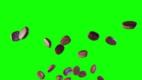 Coffee beans flying in the air on on green screen background. Transparent background with alpha channel mask.
