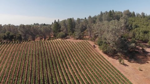 Sweeping Vineyard Aerial Vista set in the Rolling Countryside of Northern California Wine Country