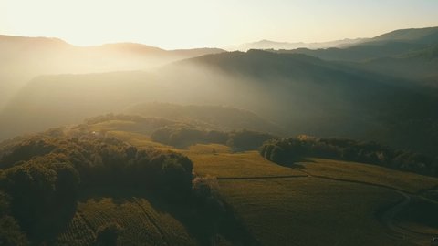 Aerial view of tea plantations in the hills at sunrise