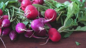Fresh red and purple radishes on wooden table. Two varieties of radishes. Close up view of raw and homegrown radish with leaves. 4K video, panning shot