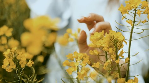 Beautiful yellow flowers in the hands of a young woman of Caucasian appearance