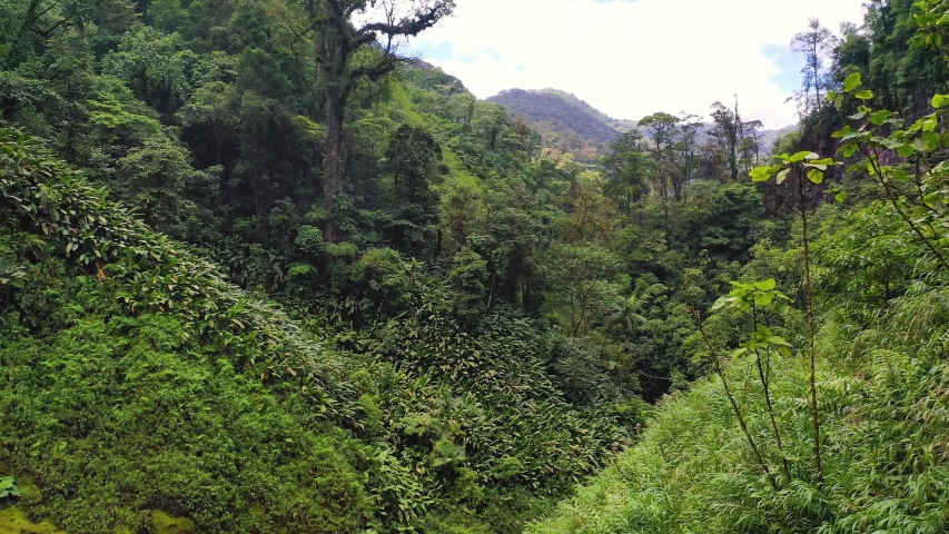 Juan Castro Blanco National Park Stock Video Footage - 4K and HD Video ...