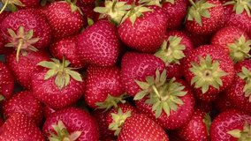 Red organic  strawberries rotated clockwise, top view