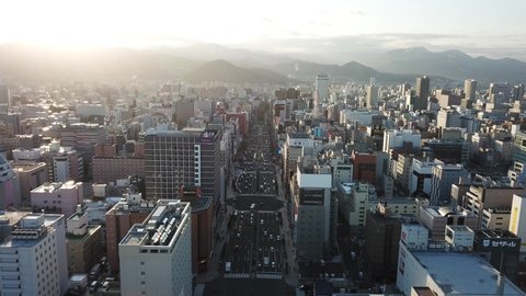 Sapporo cityscape seen from above