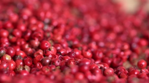 Food spices pink peppercorns red pepper Himalayan pepper berries. concept of fresh and dietary spices for cooking schools vegans and dietary products