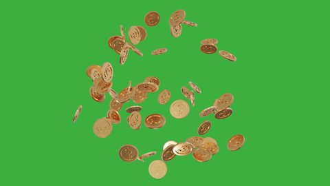 Golden Coins Rush and Falling on Chroma Key Green Screen Background 4K