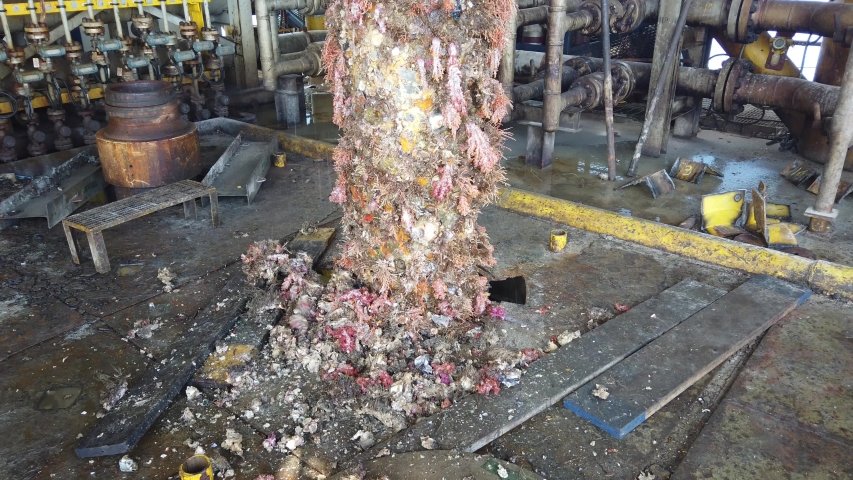 Old multi string casing conductors are pulled out from the sea with soft coral reef around the string.
