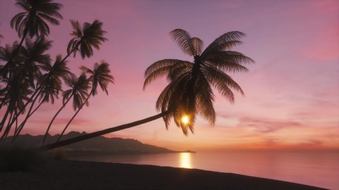 Beautiful sunset with palm tree on the ocean beach. Tropical sunset with palm trees silhouette. The big palm tree over the sea, amazing beach sunset. The sun peeks through palm leaves