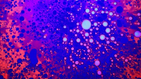 Fantastic and weird structure of blue, violet, pink, red ink. Scientific experiment with chemical reactions. Chaotic motion, organic flow expansion, curlicue of paints. Psychedelic liquid light show