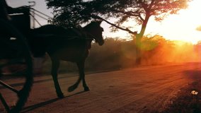 Warm sun rays and bright sun in rural Myanmar (Burma). Two horse wagons in Bagan slow motion video 