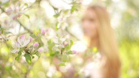 Video clip, blur effect and light fler, a young blonde woman with long hair in a long dress walks in a blossoming apple orchard on a sunny day in spring