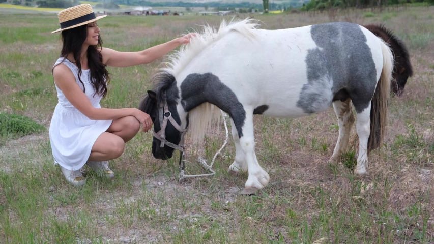 Girl in a straw hat and a white dress stroking a pony. Young woman tending a pony in a meadow.