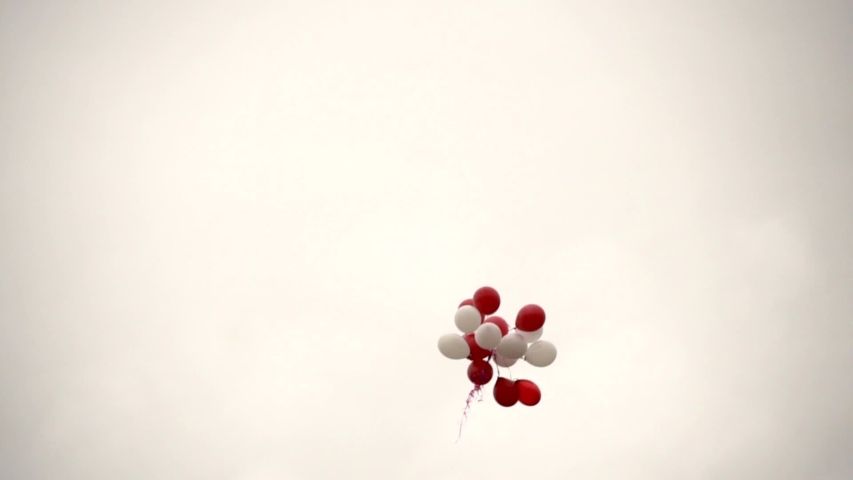 Balloon Flowers Stock Video Footage - 4K and HD Video Clips | Shutterstock