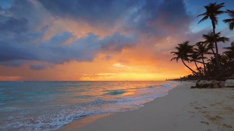 Dramatic sea sunrise over tropical island beach with exotic coconut palm trees