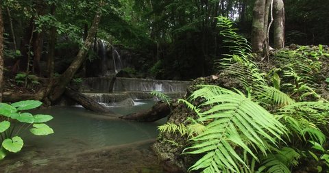 Deep forest Waterfall Mata Ai Jitu Waterfall in Moyo Island, green canyon