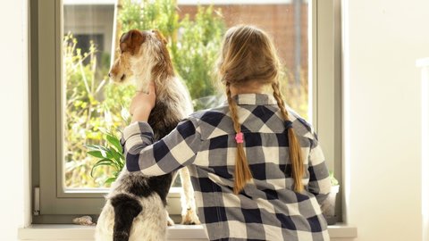 Schoolgirl with her dog at the window. Girl hugs her pet. Back view.