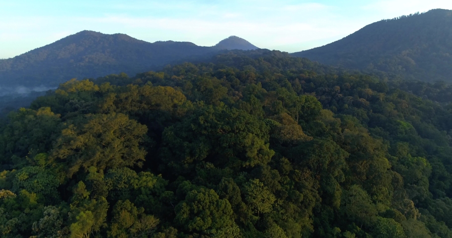 Aerial view of hills covered dense tropical rainforest from a low-flying drone 4K Royalty-Free Stock Footage #1053614675