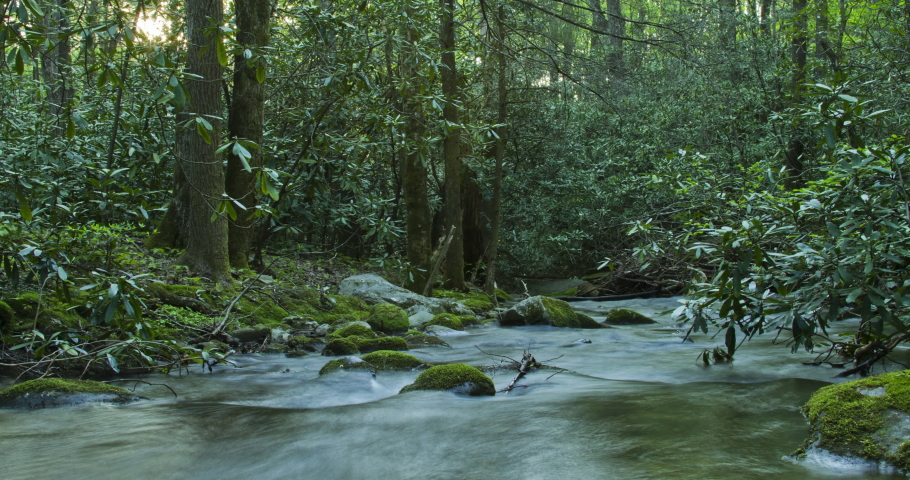 A short time lapse of Anthony Creek in Great Smoky Mountain National Park in Tennessee. Camera is facing downstream