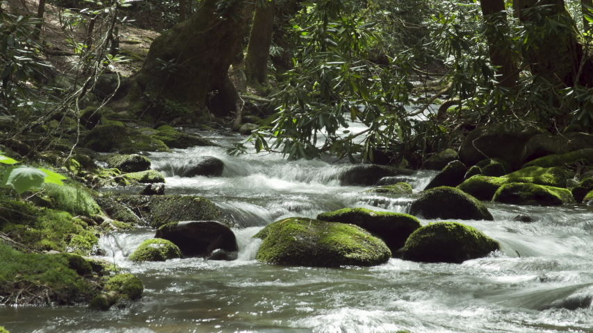 A short time lapse of Anthony Creek in Great Smoky Mountain National Park in Tennessee. Camera is facing upstream
