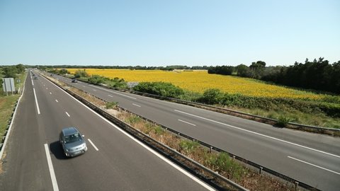 Sunfower Field and highway at Provence France