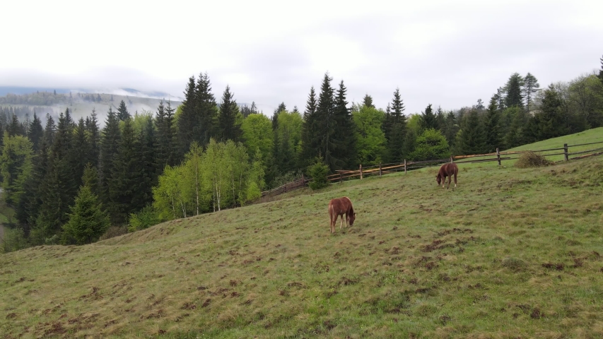 Landscape of the Carpathian mountains. Ukraine. Aerial