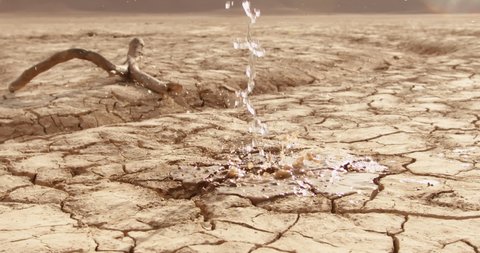Water drops falling on cracked ground of dried lake. Close up shot of dried mud after erosion and desertification - ecology, save our planet concept 4k footage