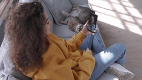 Young hispanic latin teen girl sit on sofa with cat at home holding phone video calling distance friend dating online on mobile screen using smartphone videochat zoom app. Over shoulder closeup view