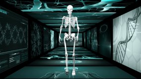 Animation of 3d model of human skeleton walking in hallway of magnetic resonance imaging scan screens and DNA strands rotating in the background. Global medicine science and research network digitally - Powered by Shutterstock - Get 15% off with code: PIKWIZARD15