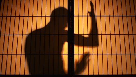 Man silhouette doing kick boxing martial arts with muscles behind sliding paper doors with orange backlighting in wooden traditional Japanese house at night in slow motion