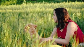 Cheerful young woman playing with her dog on the meadow at sunset. Cinematic video of a playful golden retriever outdoors in springtime. High quality 4k footage.