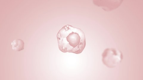 3D rendering of Single cell shrinkage to filling

