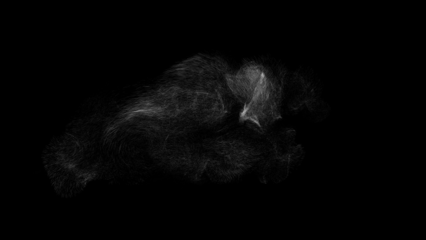 4k dust and smoke over black background, can be used as alpha, ready to use in your compositions | Shutterstock HD Video #1053687875