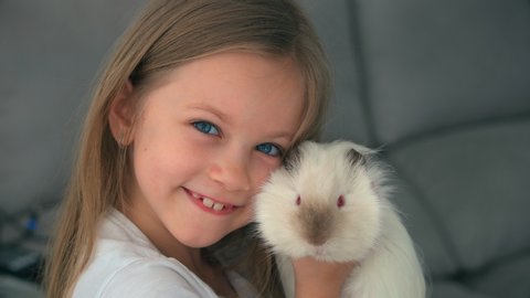Blonde girl playing with her domestic White guinea pig at home, touch each other with their noses. Animal friends.