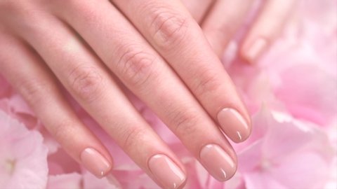 Manicure, Beautiful Woman's hands, Spa and Manicure concept. Female hands with beautiful natural pink french elegant manicure. Soft skin, skincare concept. Beauty nails. Salon. Slow motion 4K UHD