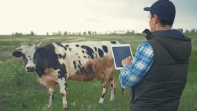 agriculture. smart farming technology. farmer milkman with a digital tablet examines lifestyle the amount of milk yielded by a spotted cow. farmer works next to a cow at a dairy farm - Powered by Shutterstock - Get 15% off with code: PIKWIZARD15