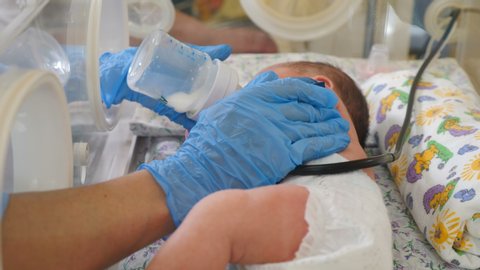 Maternity home concept. Premature baby in incubator under doctor supervision. Close-up shot of nurse hands in blue gloves touching newborn baby feet and hands and holding feeding bottle. 4k