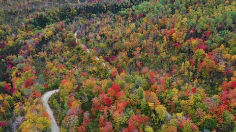 Aerial Fly Over Drone Footage over top of autumn trees revealing rich fall colors in red, orange and green with winding road cutting across thick foliage in Maine, USA