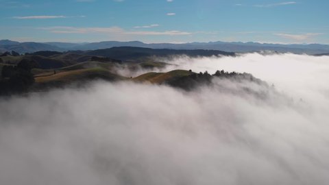 Serene aerial view of a hilltop above an ocean of fog, in Canterbury, South Island, New Zealand.