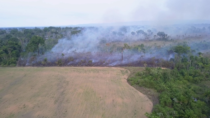 Drone aerial view of Amazon rainforest burning under smoke in sunny day in Para, Brazil. Concept of deforestation, fire, co2, environmental damage and crime in the largest rainforest on the planet. Royalty-Free Stock Footage #1053735119